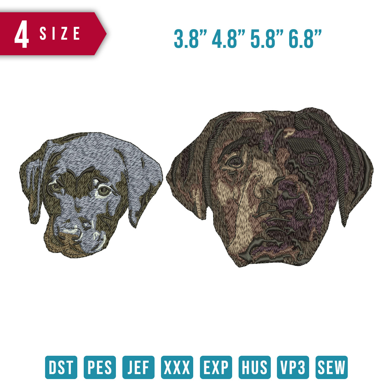 2 Dog Bs