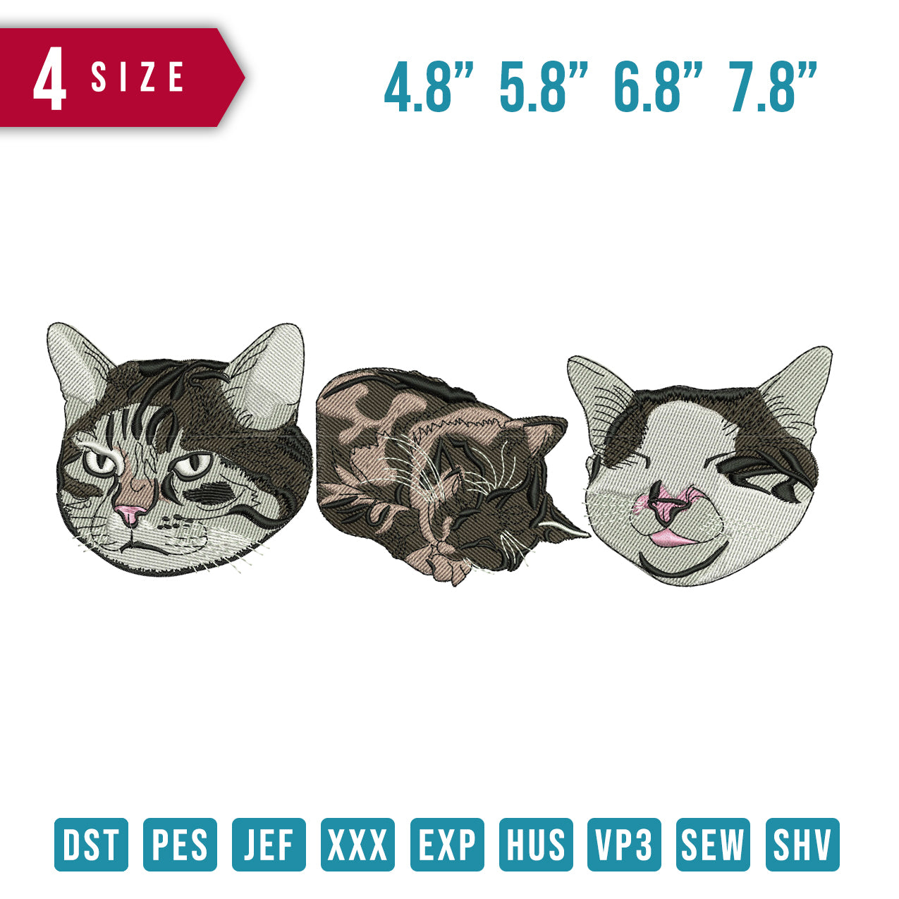 3 Cat funniest