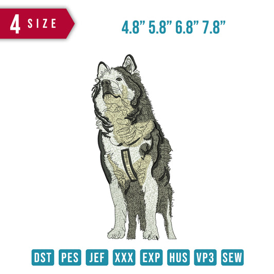 Alaskan dog