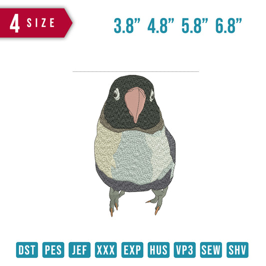 Bird Front
