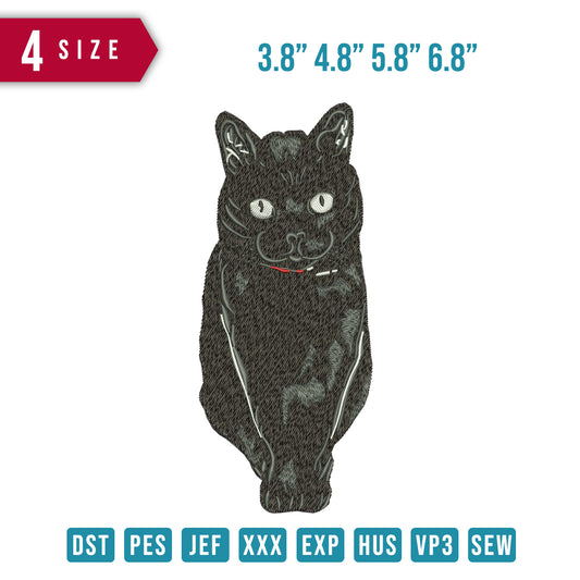 Black Cat Sit