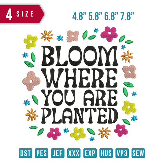 Bloom Where