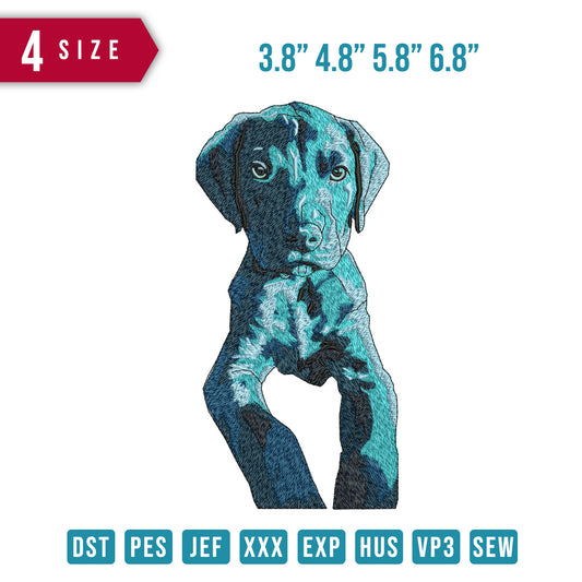 Blue Dog