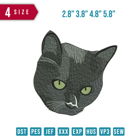 Cat Black Grey