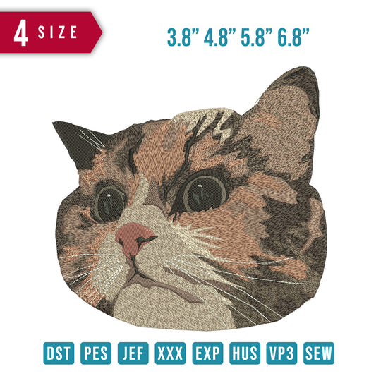 Cat Face D