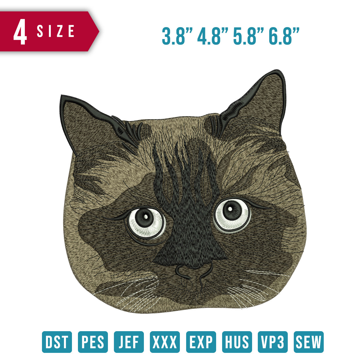 Cat Face Glared