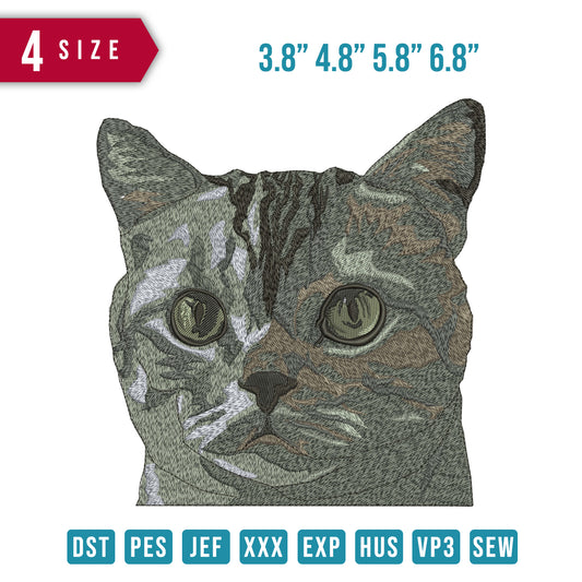 Cat Grey B