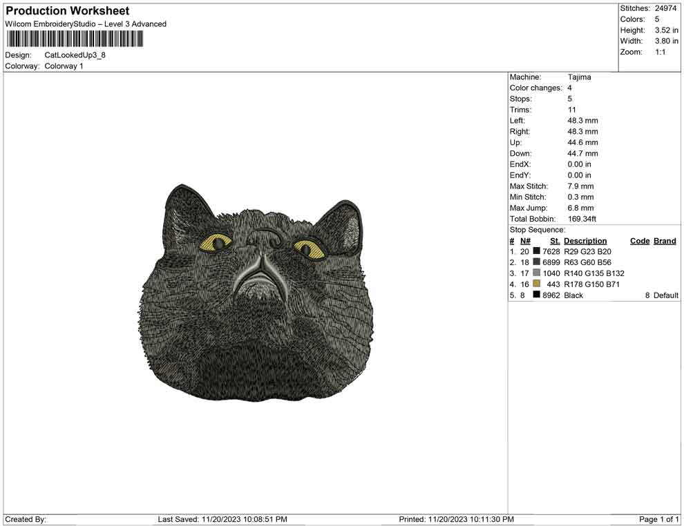 Cat looked up