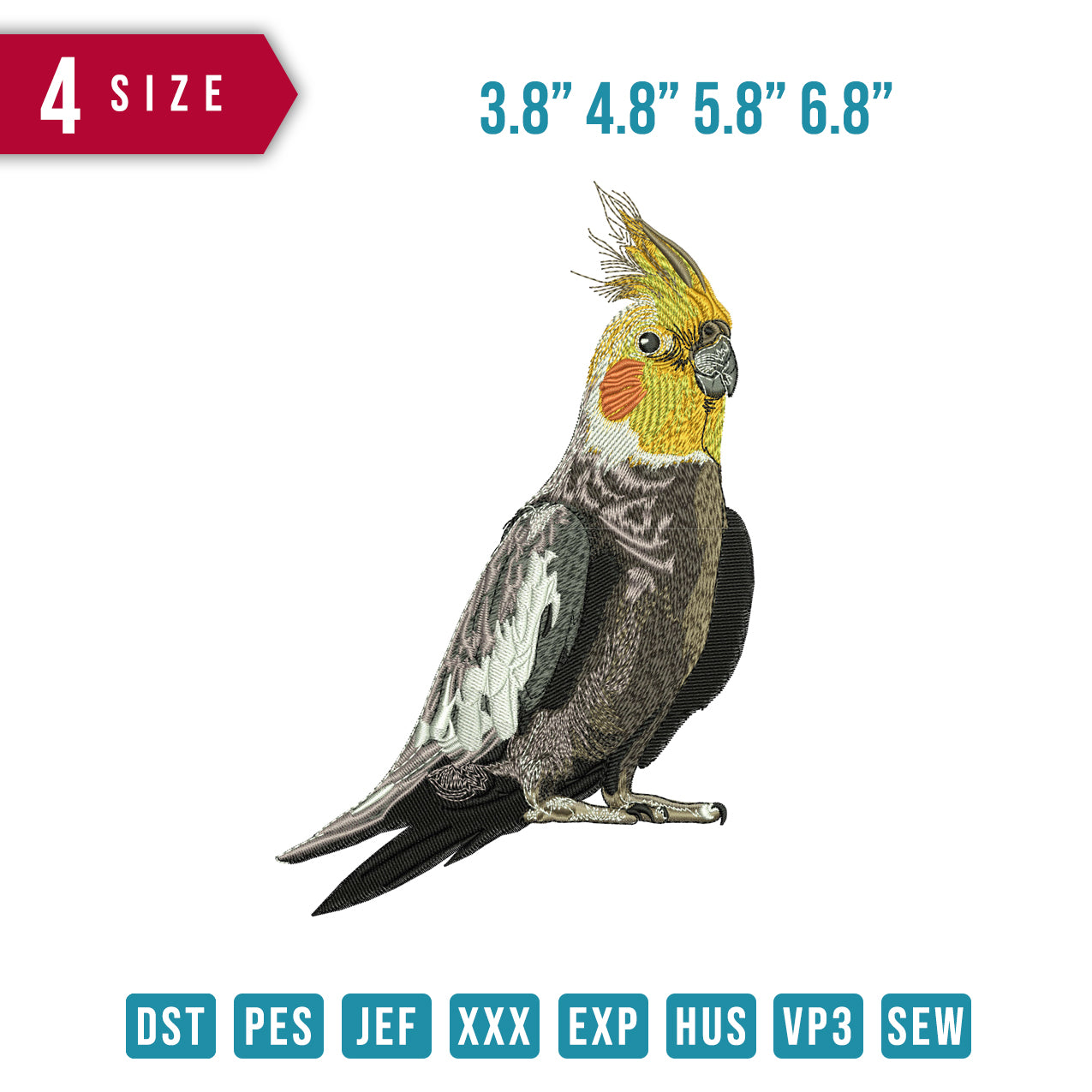 Cockatiel Bird B