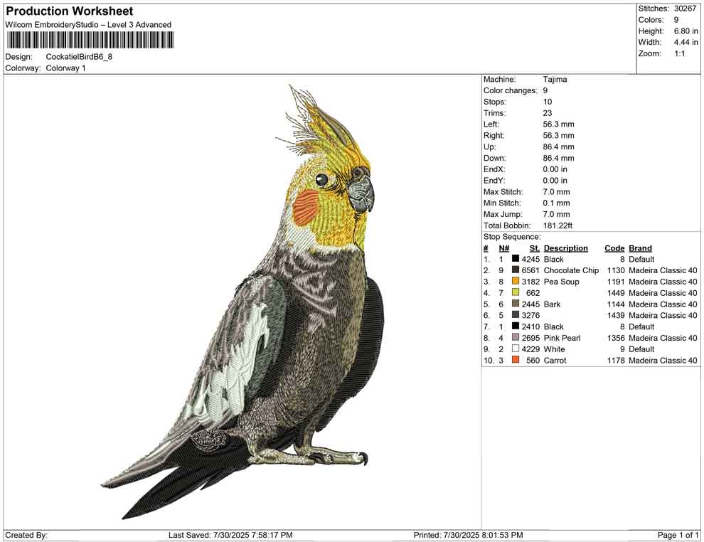 Cockatiel Bird B