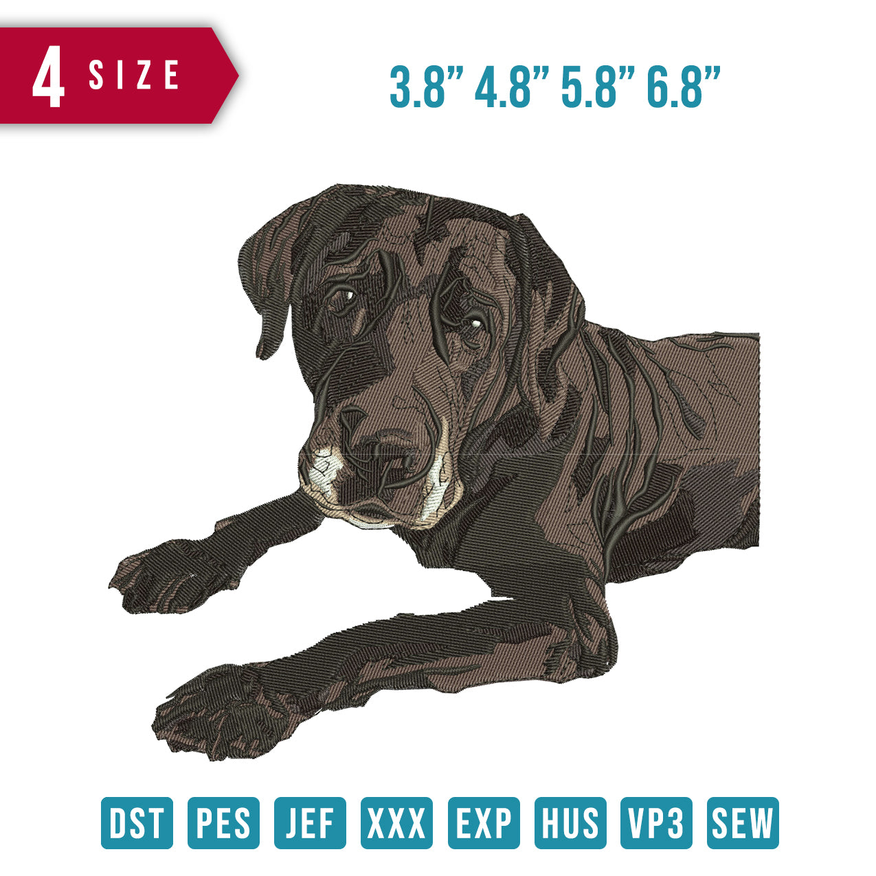 Dog dark