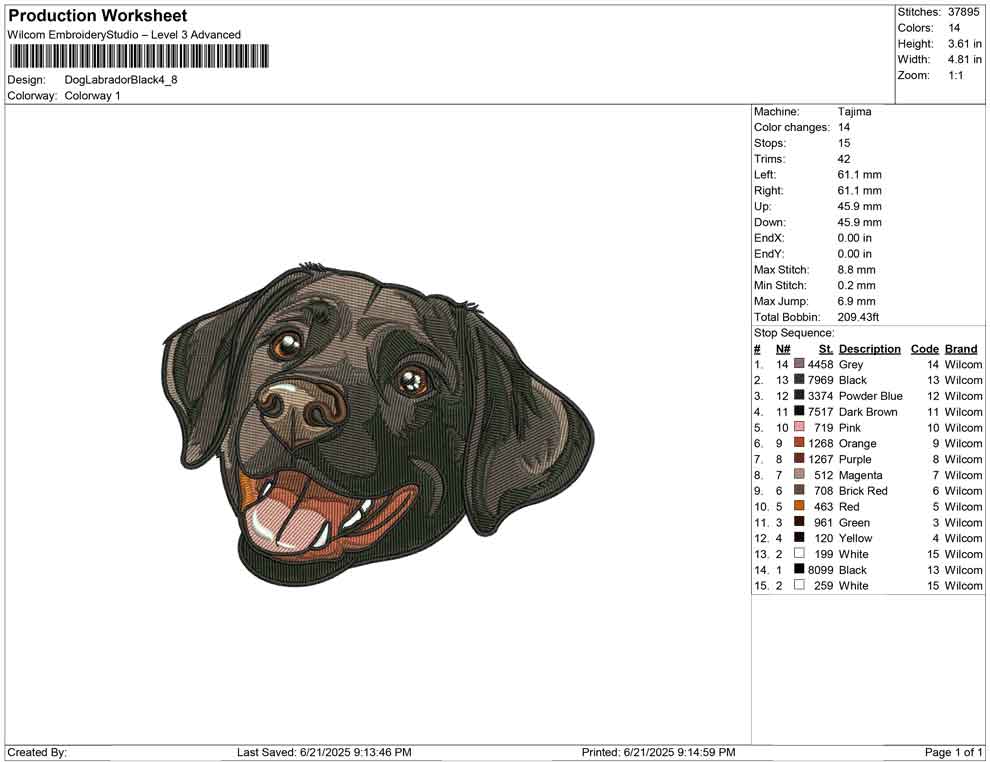 Dog Labrador Black
