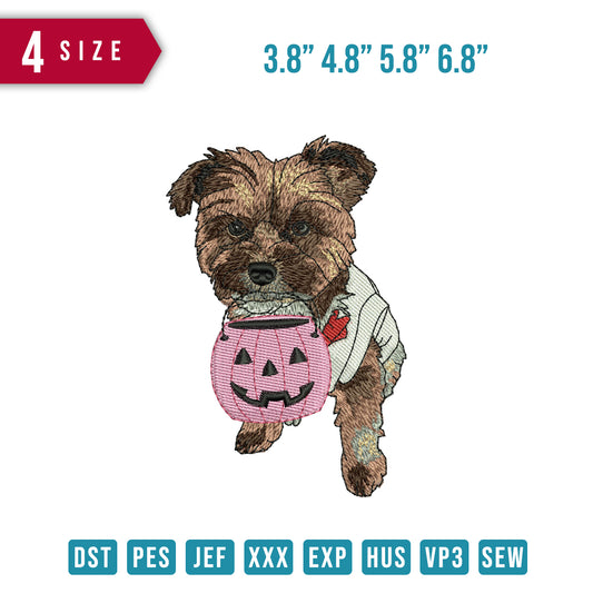 Dog shirt Pumpkin