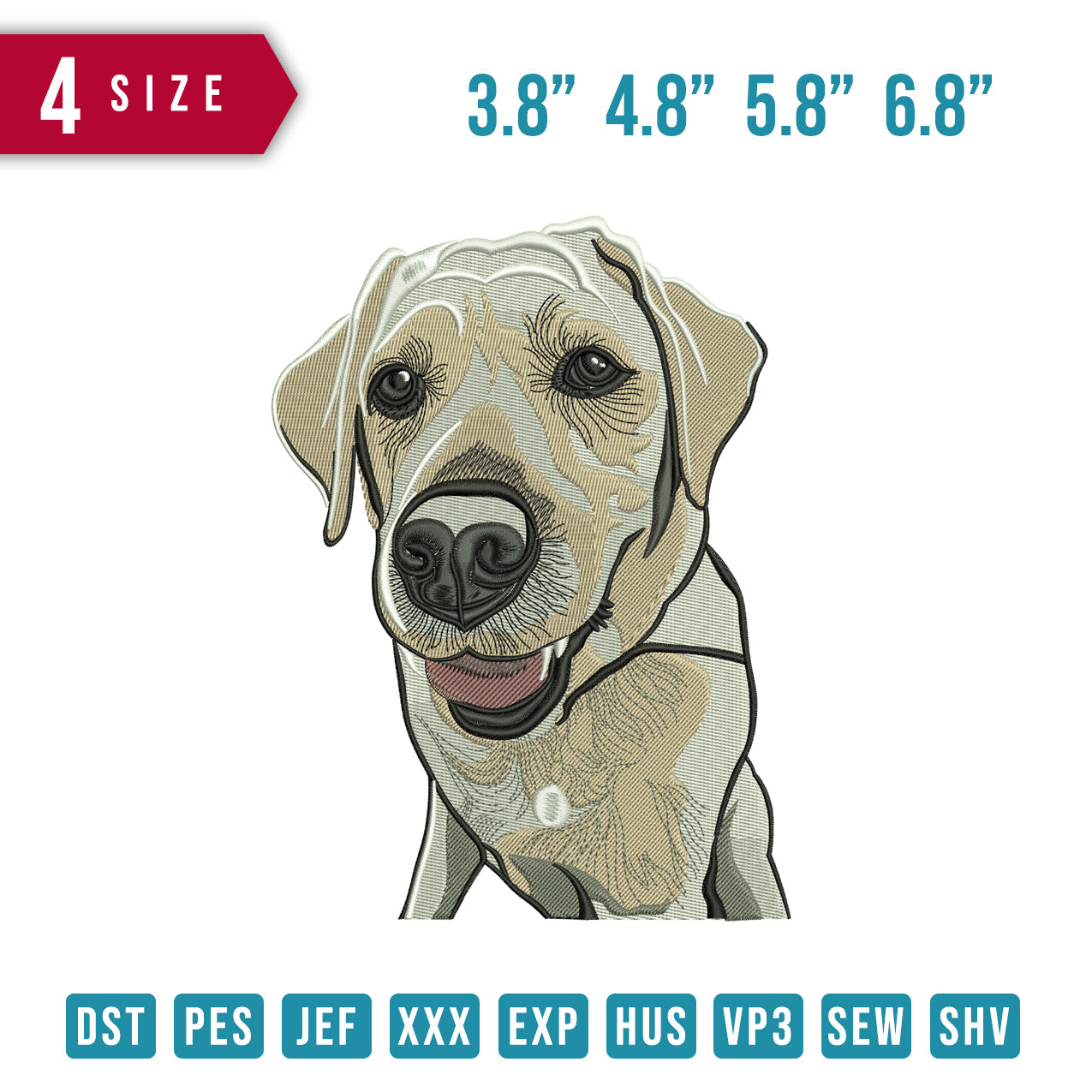 Dog White B