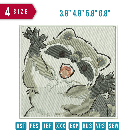 Racoon Funny