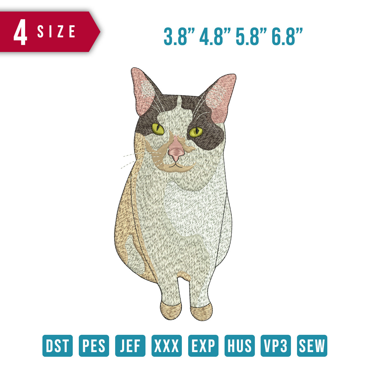 Young Cat