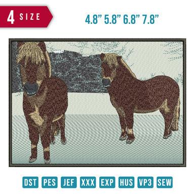2 Horse Pony