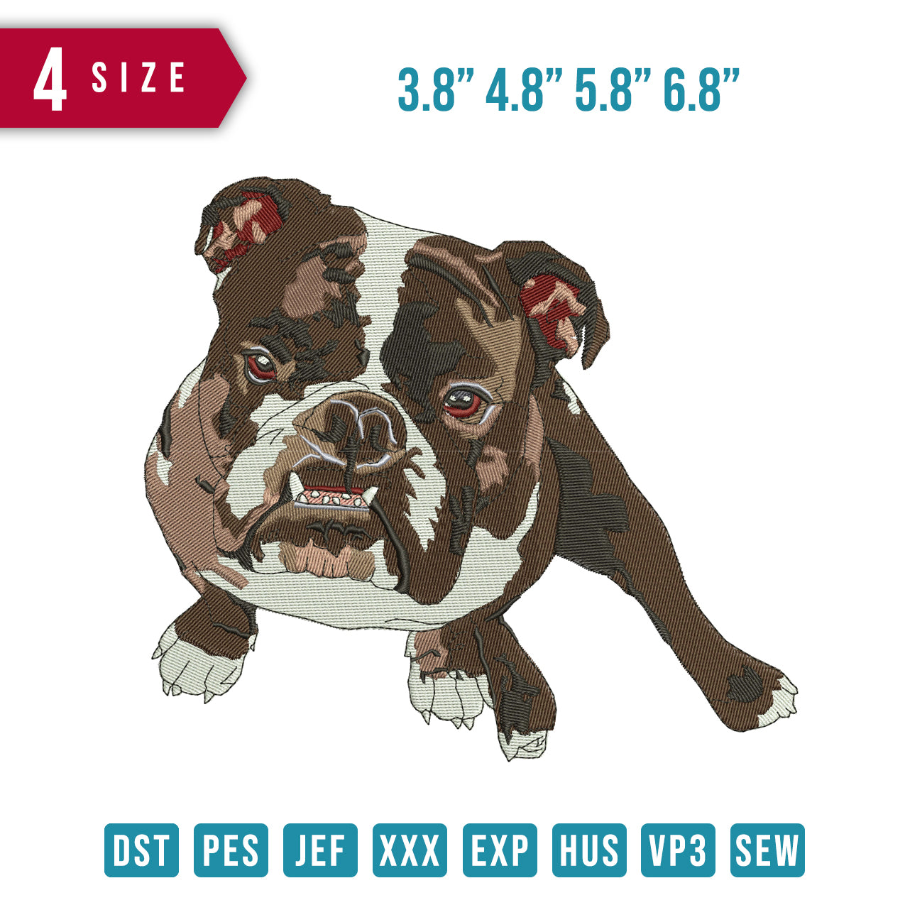 Bull Dog Angry