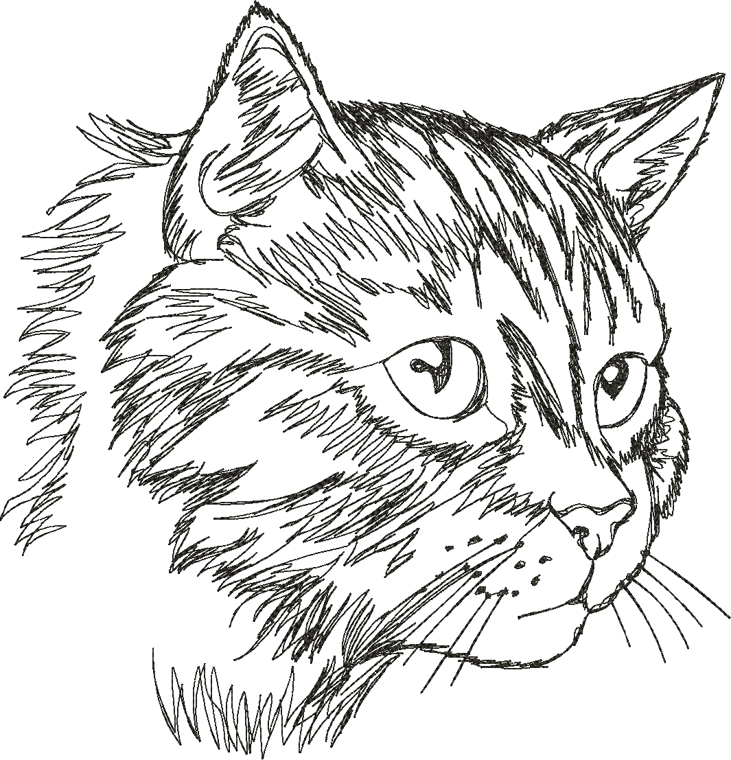Cat Head
