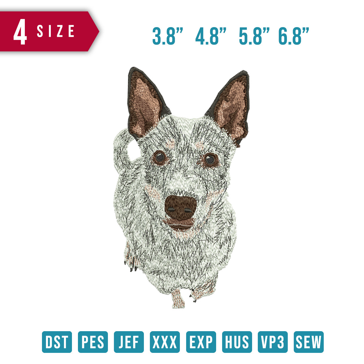 dog 5