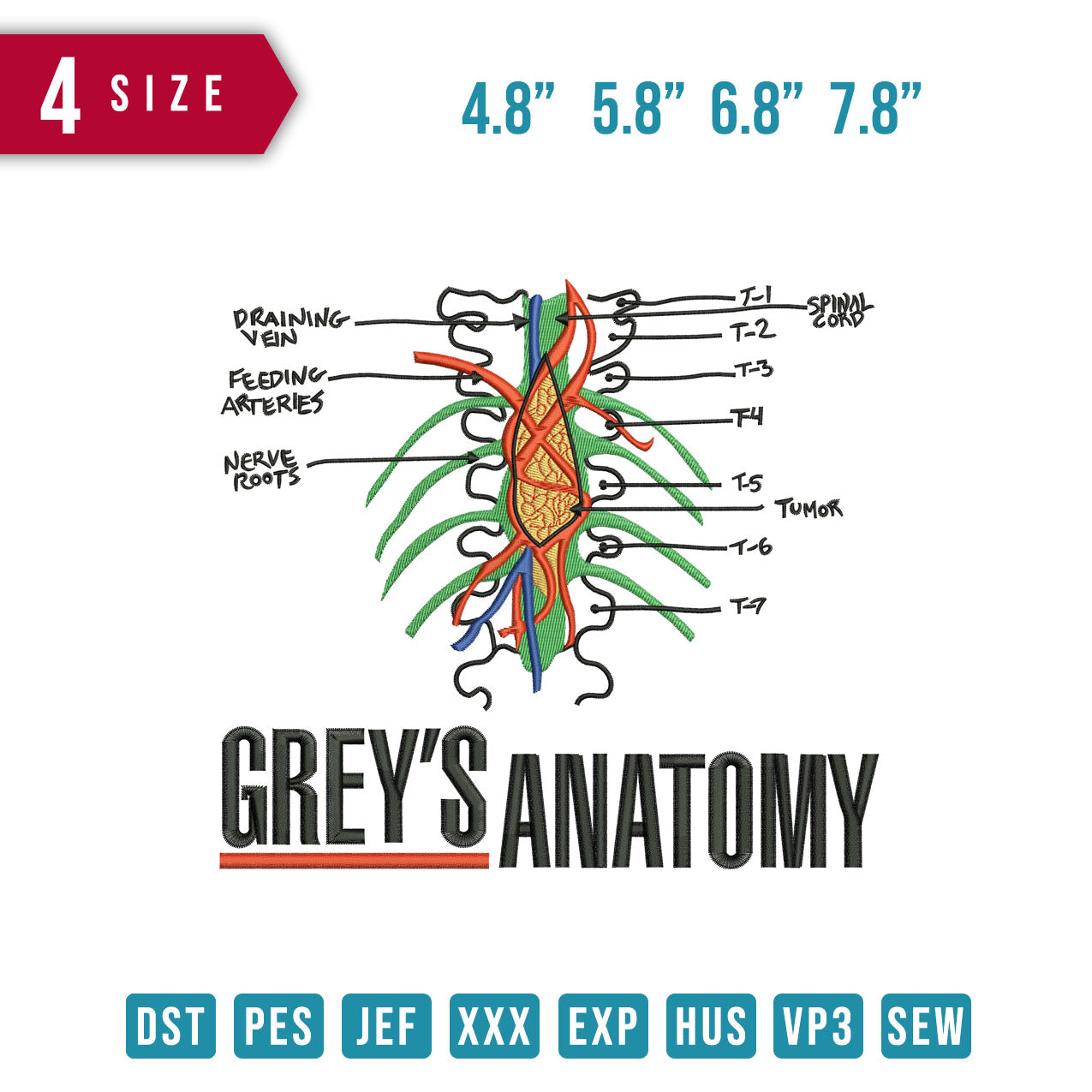 Grey Anatomi