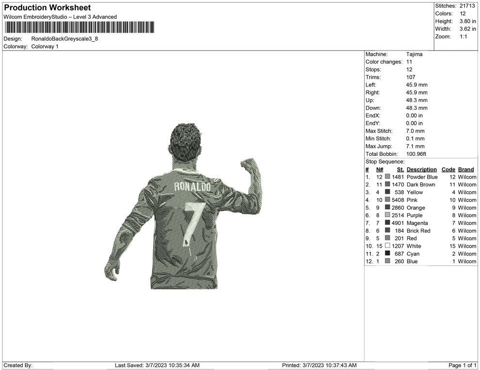 Ronaldo  Back Greyscale