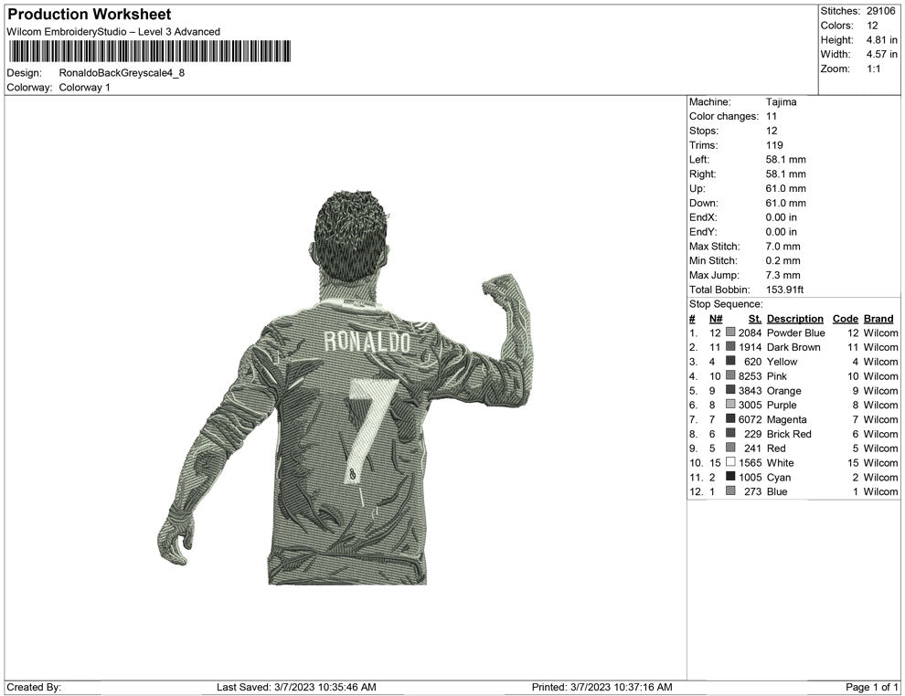 Ronaldo  Back Greyscale