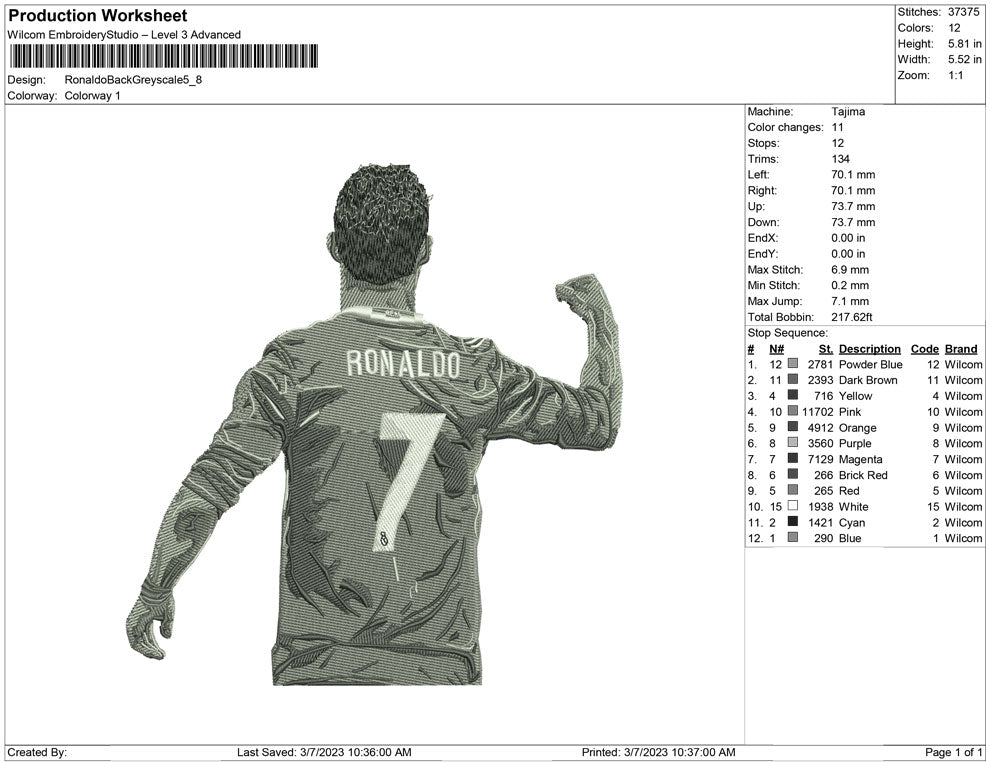 Ronaldo  Back Greyscale