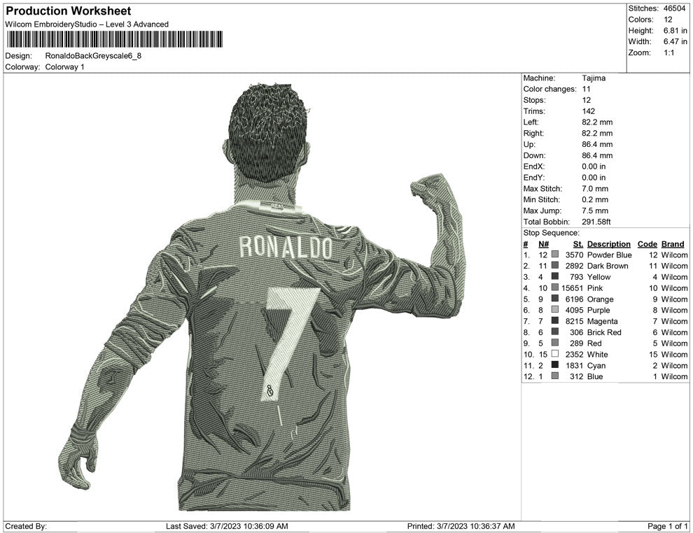 Ronaldo  Back Greyscale
