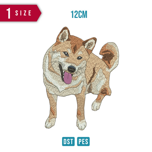 Shiba Inu Dog