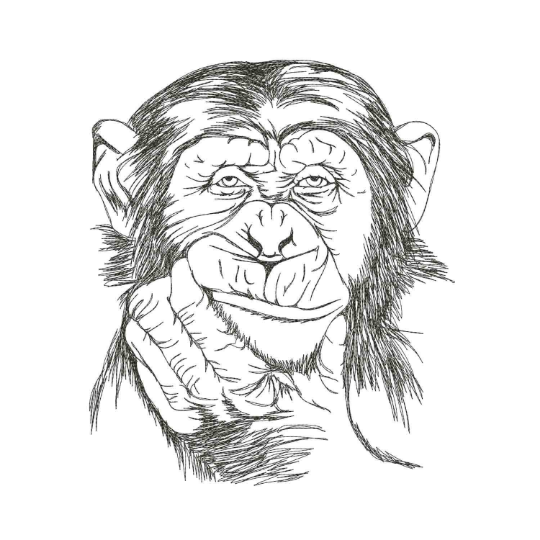 Monkey smile