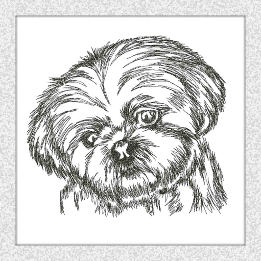 Dog Shih Tzu