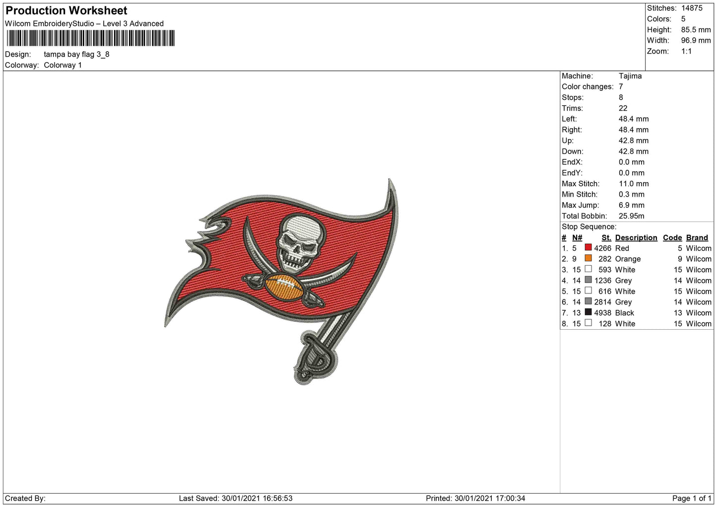 Tampa bay skull Flag