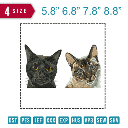2 Cat Rec Dashed