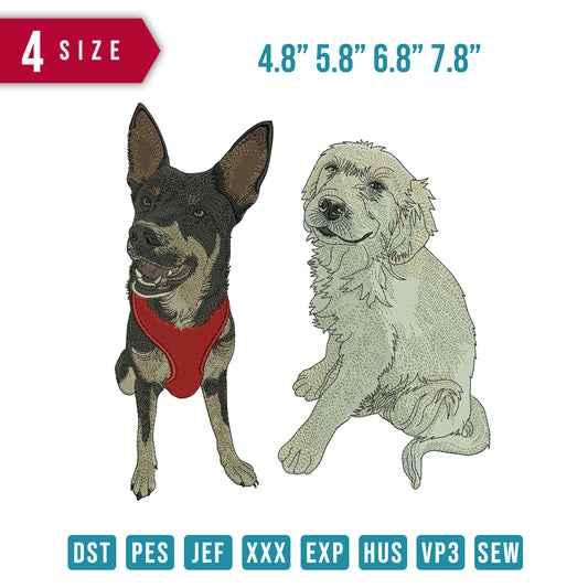 2 Dogs Pose