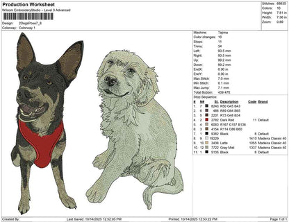2 Dogs Pose