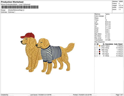 2 Golden Retriever Dog