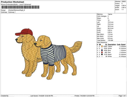 2 Golden Retriever Dog