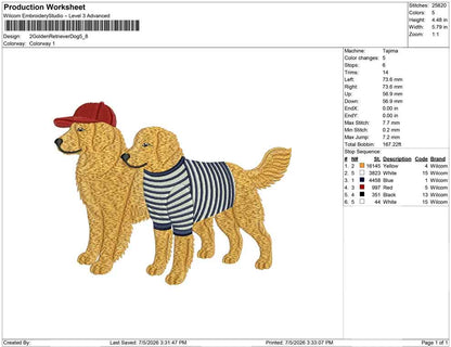 2 Golden Retriever Dog