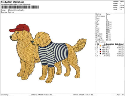 2 Golden Retriever Dog