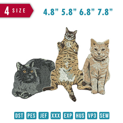 3 Cute cats