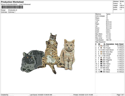 3 Cute cats