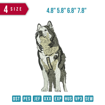 Alaskan dog