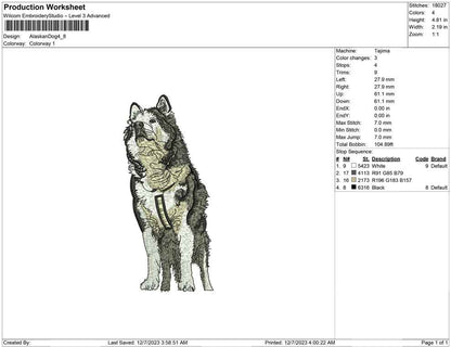 Alaskan dog