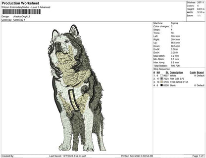 Alaskan dog