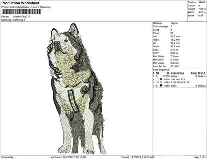 Alaskan dog