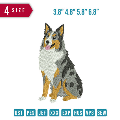 Australian Shepherd