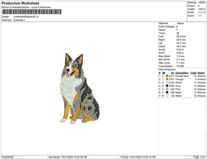 Australian Shepherd