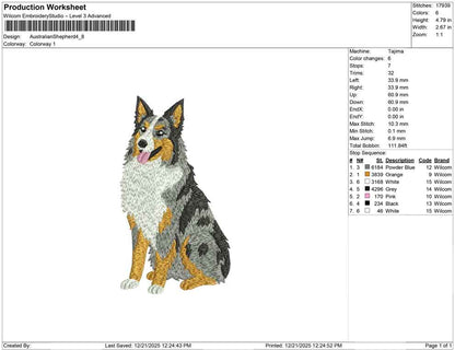 Australian Shepherd