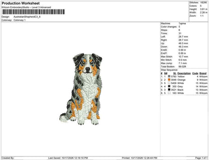 Australian Shepherd C